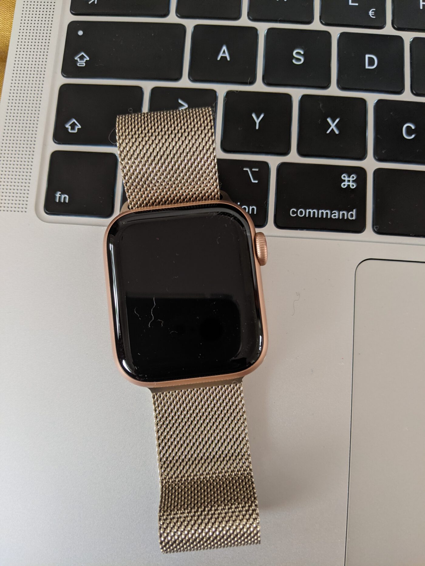 Apple Watch best watch bands for all occassions Two Roaming Werners